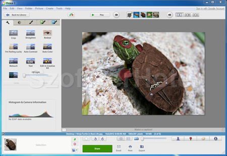 Picasa Picasa