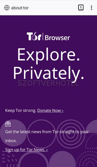 tor-browser-2