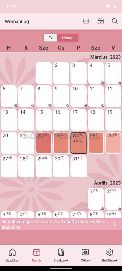 womanlog-calendar-2